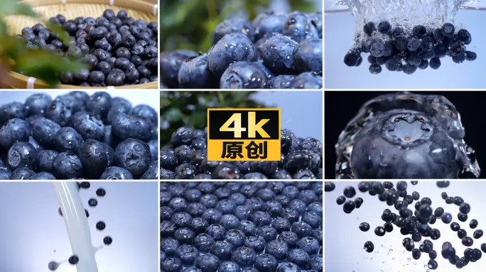 天美传媒保姆级教程汇总：界面主题、弹幕、字幕等个性化设置教学