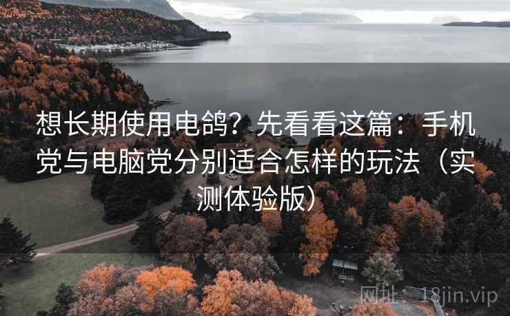 想长期使用电鸽？先看看这篇：手机党与电脑党分别适合怎样的玩法（实测体验版）