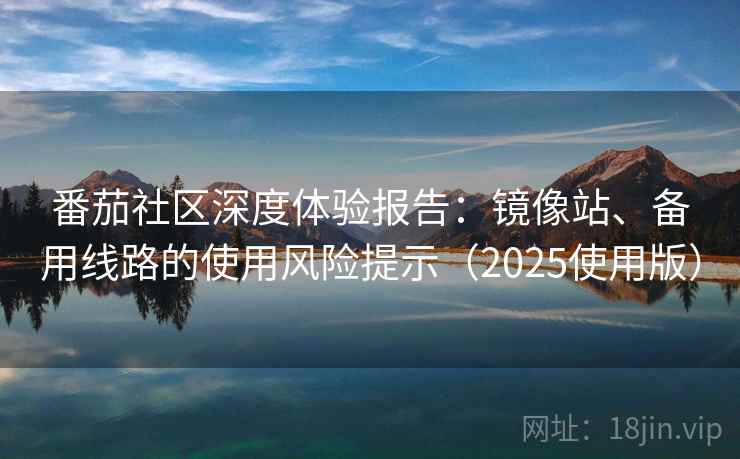番茄社区深度体验报告：镜像站、备用线路的使用风险提示（2025使用版）