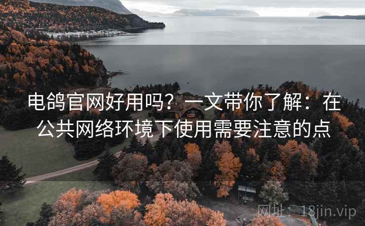 电鸽官网好用吗？一文带你了解：在公共网络环境下使用需要注意的点