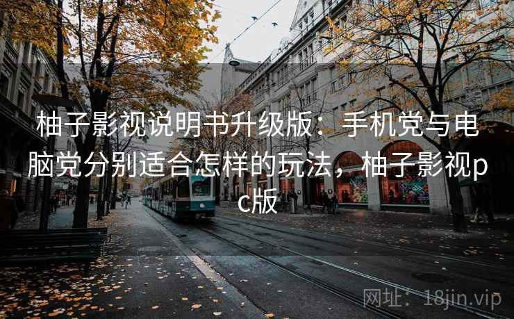 柚子影视说明书升级版：手机党与电脑党分别适合怎样的玩法，柚子影视pc版