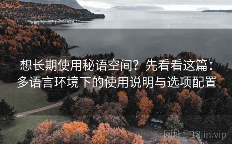 想长期使用秘语空间？先看看这篇：多语言环境下的使用说明与选项配置