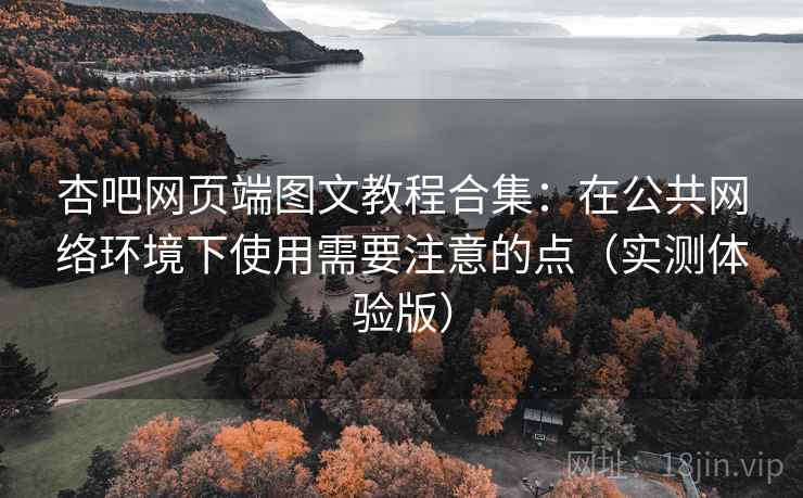杏吧网页端图文教程合集：在公共网络环境下使用需要注意的点（实测体验版）