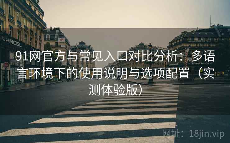 91网官方与常见入口对比分析：多语言环境下的使用说明与选项配置（实测体验版）