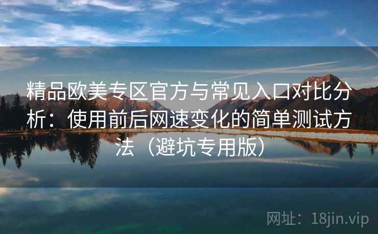 精品欧美专区官方与常见入口对比分析：使用前后网速变化的简单测试方法（避坑专用版）