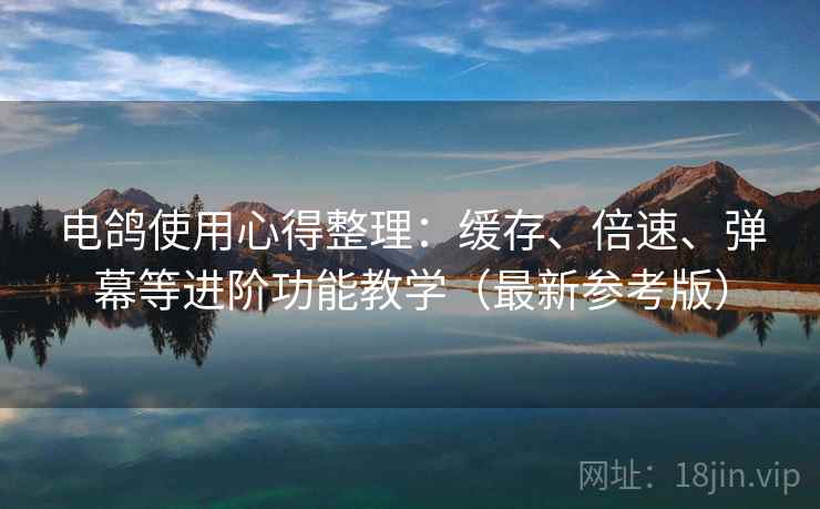 电鸽使用心得整理：缓存、倍速、弹幕等进阶功能教学（最新参考版）